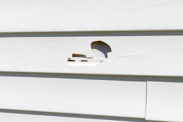 Best Residential Vinyl Siding Installation  in Pike Road, AL